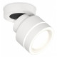 Спот Ambrella Light XM XM8101023