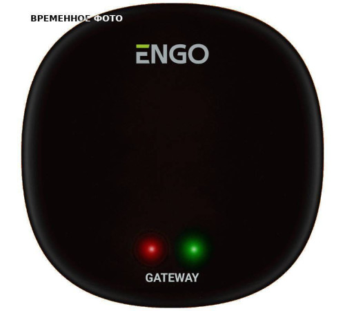 Интернет-шлюз Zigbee ENGO EGATEZB