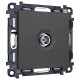 ТВ-розетка оконечная без рамки Ambrella Volt ALFA MA913005