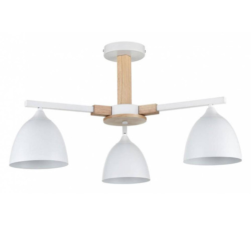 Люстра на штанге Lumion Colange 8095/3C