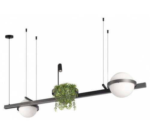 Подвесной светильник Loft it Jardin 10121/D Dark grey