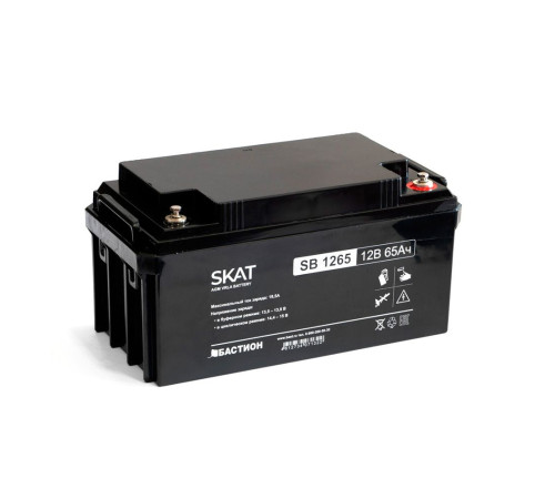Аккумулятор свинцово-кислотный Бастион SKAT SB 1265 AGM 12 В 65 Ач 2541