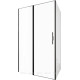 Душевое ограждение Allen Brau Priority 1200x1000 мм браш черный 3.31009.BBA/3.31021.BBA