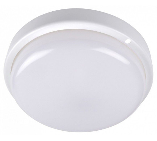 Накладной светильник Jazzway ДПО-1044 15w 4000K IP54