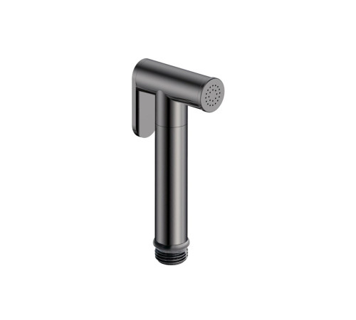 Лейка гигиеническая AQUAME латунь графит AQM8511GM