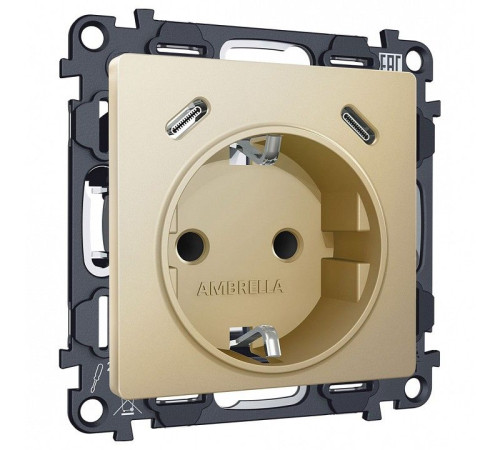 Розетка с заземлением и 2хUSB type C, без рамки Ambrella Volt ALFA MA610510