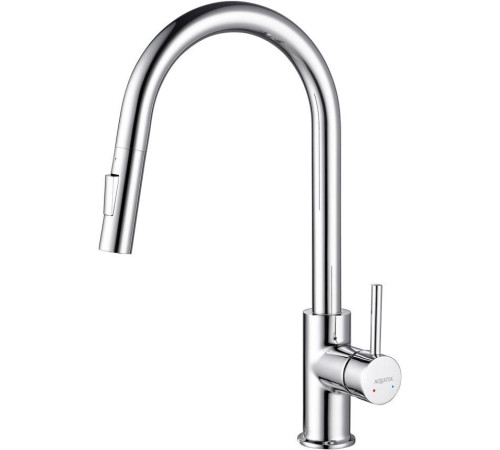 Смеситель для кухни Aquanet Европа с вытяжным изливом 2 jet хром AQ1384CR