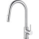 Смеситель для кухни Aquanet Европа с вытяжным изливом 2 jet хром AQ1384CR