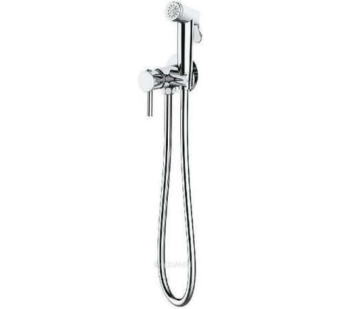 Смеситель с гигиеническим душем Bravat хром D9151CP-ENG