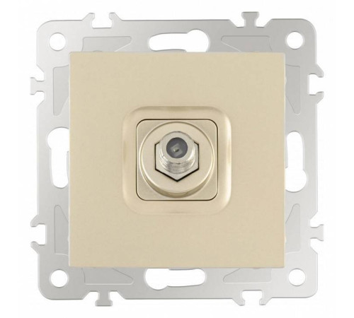 ТВ-розетка без рамки Arte Milano am-206 206.42-1.shampan