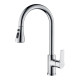 Смеситель для кухни Aquanet Лугано с вытяжным изливом 2jet хром AQ1784CR