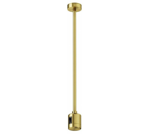 Основание на штанге Maytoni Accessories for tracks Flarity TRA158С-IPCL1-BS