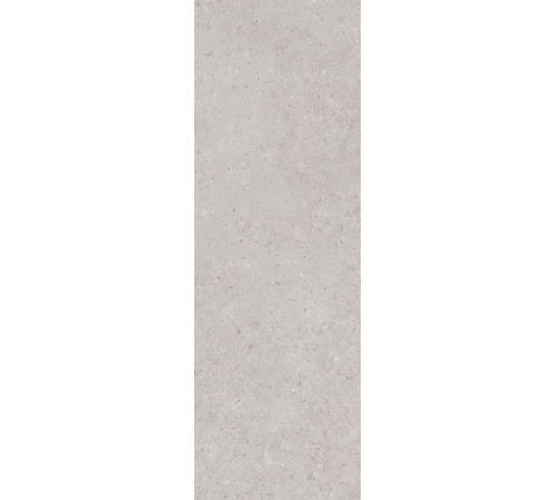 Плитка настенная Kerama Marazzi Риккарди серый светлый матовая обрезная 40x120 см 14053R