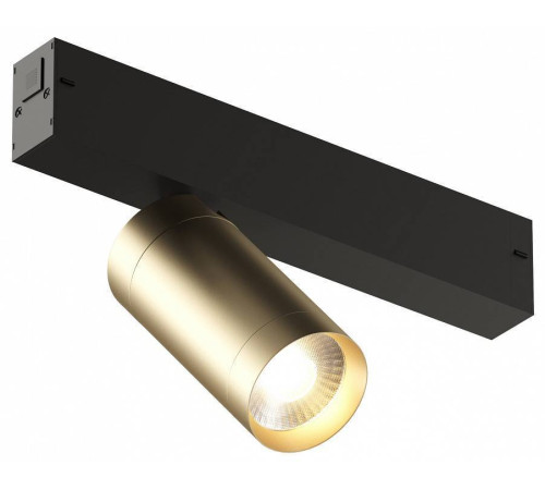 Светильник на штанге Denkirs Smart DK8010-BG