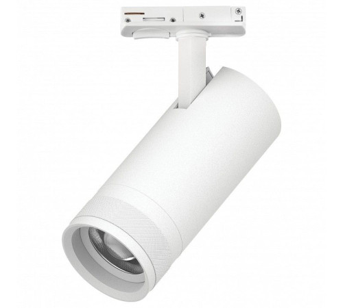 Светильник на штанге Lightstar Canno Pro C4206SS