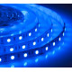 Лента светодиодная ELFLED ELF-300SMD5050NWRGB-typeB