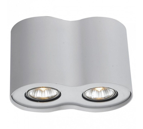 Накладной светильник Arte Lamp Falcon A5633PL-2WH