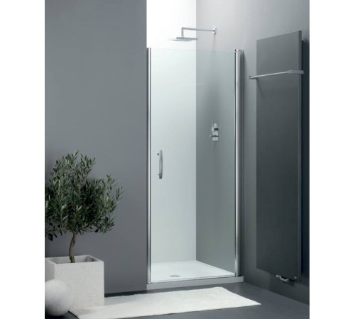 Дверь в нишу Provex Elegance/Vario 1000х1975 мм 0005 NE 28 GL N