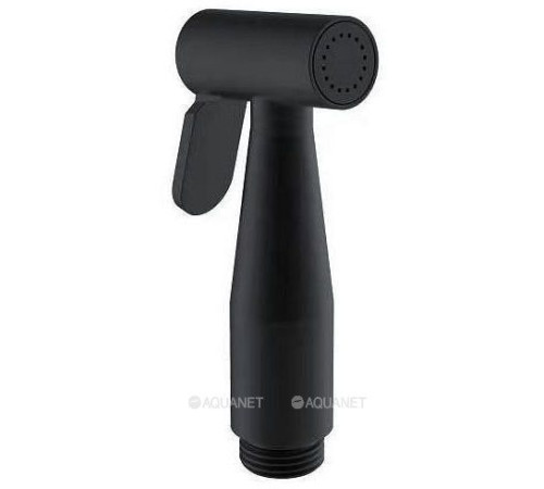 Гигиенический душ Aquanet Passion латунь черный матовый AF300-83B