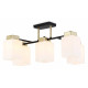 Люстра на штанге Ambrella Light TR TR303048