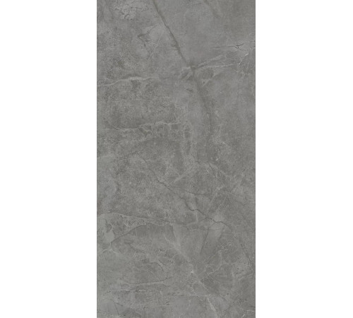 Плитка настенная Kerama Marazzi Риальто серый темный глянцевый обрезной 40х80 см 48021R