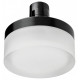 Накладной светильник Lightstar Due Hermes 210647