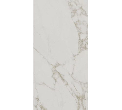 Керамогранит Kerama Marazzi Монте Тиберио серый светлый матовый обрезной 60х119.5 см SG540720R