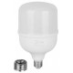 Лампа светодиодная Эра LED POWER T120-60W-4000-E27/E40 R